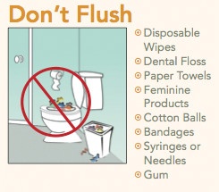 what not to flush